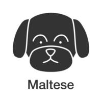 ícone de glifo maltês. raça de cachorro de brinquedo. símbolo da silhueta. espaço negativo. ilustração isolada do vetor
