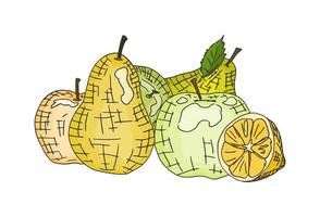 desenho simples de maçãs e peras verdes. doodle novo vetor