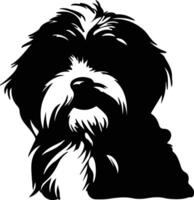 havanese Preto silhueta vetor