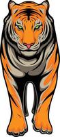 ilustração vetorial de tigre vetor