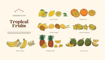 isolado tropical frutas ilustração, indonésio saudável frutas Projeto elemento vetor