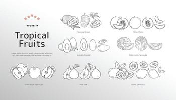 isolado tropical frutas esboço ilustração vetor