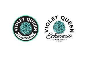 echeveria do tolet rainha suculentos logotipo Projeto para plantar fazer compras e amante o negócio vetor