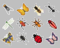inseto adesivo definir, borboleta, formiga, libélula, vespa, joaninha, besouro, aranha. zoológico ícones, modelos, decoração elementos, vetor