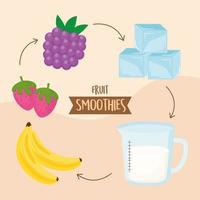 ingredientes para smoothies de frutas vetor