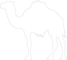 bactriano camelo esboço silhueta vetor