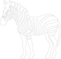 zebra esboço silhueta vetor