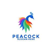luxuoso pavão pássaro logotipo ícone, abstrato pavão colorida logotipo vetor Projeto modelo