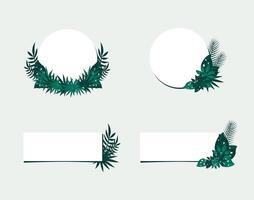 quadrado e círculo quadro, Armação decorado com tropical verde folhas plano vetor ilustração isolado em branco fundo. natural fronteira para convite cartão.