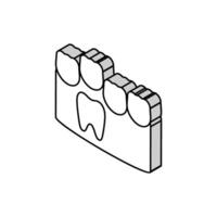 bebê e molar dentes isométrico ícone vetor ilustração