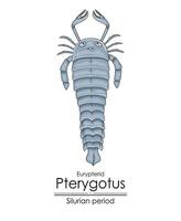 pterigoto, uma siluriano período mar escorpião vetor