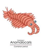 anomalocaris, uma cambriano período criatura. vetor