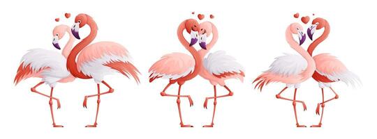 conjunto do Rosa flamingo amantes. uma casal do a flamingo família, uma símbolo do amor e devoção para cada outro. desenho animado estilo, vetor ilustração.
