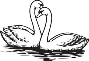 cisne casal em lago ilustração. vetor