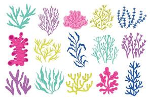 algas e algas. desenho animado colorida embaixo da agua plantas, colorida exótico marinho botânica flora, coral e água plantas. vetor isolado conjunto