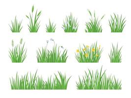desenho animado verde Prado Relva com flor, ervas e Espinho ouvidos. Primavera jardim gramado horizontal fronteiras. campo fresco natural Relva vetor conjunto