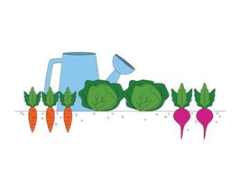 jardinagem. colheita. cenouras, repolho, beterraba. crescido legumes. vetor gráfico.