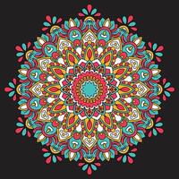 colorida floral mandala fundo. vetor mão desenhado rabisco arte. decorativo flor. coloração livro página. pró vetor