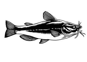 mão desenhado ilustração peixe-gato dentro Preto e branco isolado vetor