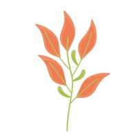 ramo com laranja folhas planta ícone de primavera vetor