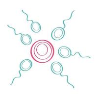espermatozóide fertilizando óvulo vetor