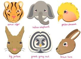 colori vetor ícone conjunto dentro plano estilo com vários animais a partir de Eurásia