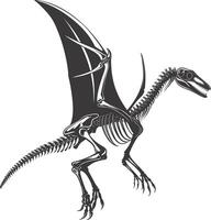 ai gerado silhueta dinossauro pterodátilo esqueleto Preto cor só vetor