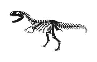 isolado dinossauro esqueleto fóssil do dino ossos vetor