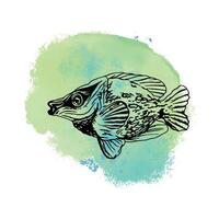 peixe, amarelo, mar. Raposa peixe. vetor ilustração com uma azul local em a fundo. Projeto elemento para cartões, capas, cartazes, bandeiras, embalagem, rótulos.