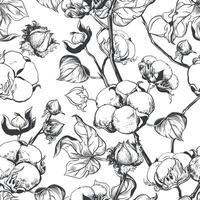 vetor, desatado, Preto e branco padronizar do algodão flores botânico ilustração usando gravação técnica. algodão galhos com folhas estão desenhado com tinta. ilustração adequado para tecido, têxtil vetor