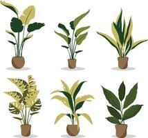 plantas tropical folhas dentro à moda plantadores e potes. vetor ilustração