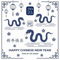 feliz chinês Novo ano 2025 zodíaco sinal, ano do a serpente vetor