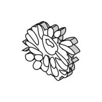 zínia Flor Primavera isométrico ícone vetor ilustração