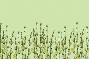 ilustração, abstrato do verde bichano salgueiro flor em luz verde fundo. vetor