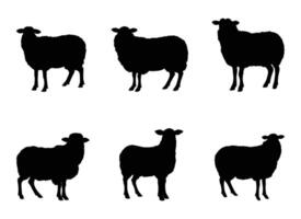 ai gerado ovelha ilustração isolado em branco fundo. vetor