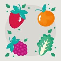 frutas e vegetais vetor
