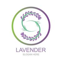 lavanda logotipo modelo vetor símbolo natureza