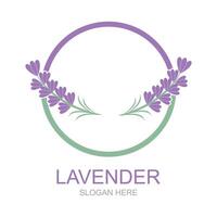 lavanda logotipo modelo vetor símbolo natureza