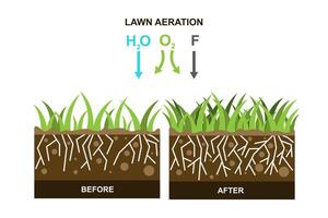 vetor ilustração com gramado aeração.