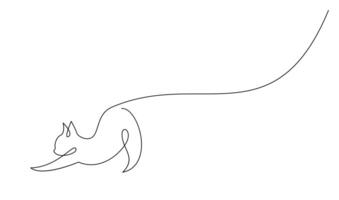 contínuo linha desenhando do gato em branco fundo. vetor