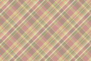 clube textura têxtil tecido, vinco padronizar Verifica desatado. internacional vetor xadrez fundo tartan dentro pastel e vermelho cores.