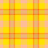 padronizar textura tartan do têxtil Verifica tecido com uma fundo vetor desatado xadrez.