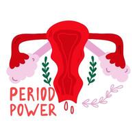 vetor ilustração do fêmea reprodutivo sistema. fêmea menstrual ciclo. bandeira com útero.