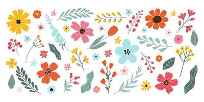 conjunto isolado mão desenhado Primavera e verão flores Flor flores, folhas, galhos, bagas, tulipa. plano vetor ervas ilustração em branco fundo