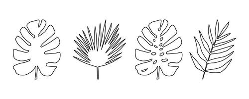 conjunto do monocromático silhuetas do tropical folhas. vetor botânico ilustrações, floral elementos, monstro, Palma folhas. mão desenhado plantar para decoração.