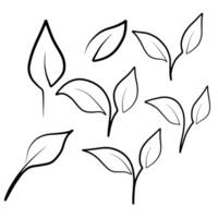 solteiro linha desenhando folhas vetor conjunto