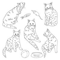 conjunto do fofa gatos. animal animais, gatinho coleção. mão desenhado vetor ilustração. contorno cliparts isolado em branco. elementos para decoração, adesivos, projeto, cartão, imprimir.