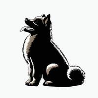 ai gerado schipperke sentado e olhando acima ilustração vetor