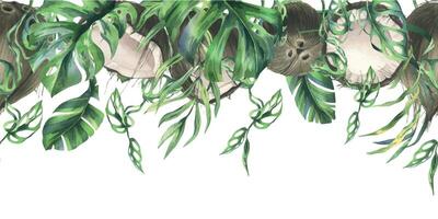 cocos todo, metades e peças com brilhante, verde, tropical Palma folhas. mão desenhado aguarela ilustração. desatado fronteira isolado a partir de a fundo. vetor