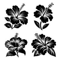 ector flor ícone ilustração. conjunto do decorativo hibisco flor silhuetas vetor